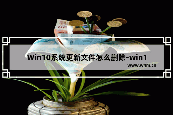 Win10系统更新文件怎么删除-win10删除系统更新文件的方法