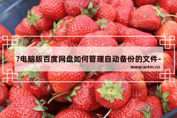 ?电脑版百度网盘如何管理自动备份的文件-?百度网盘管理自动备份文件的方法