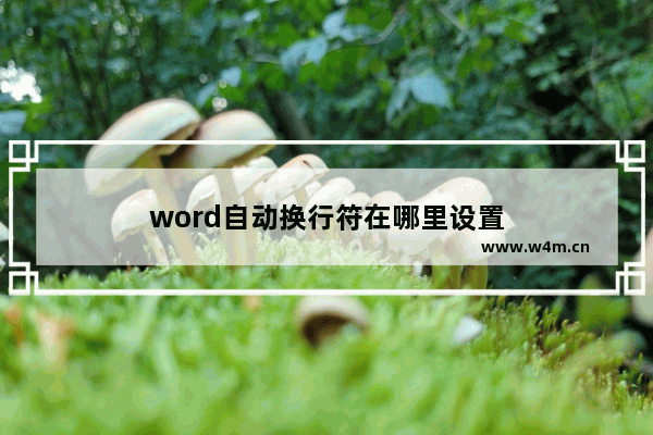 word自动换行符在哪里设置