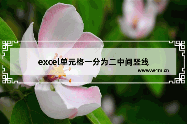 excel单元格一分为二中间竖线