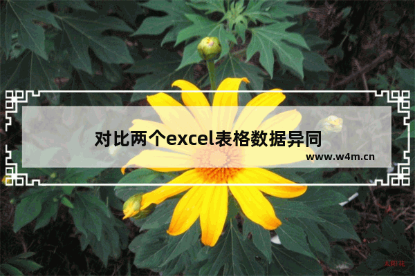 对比两个excel表格数据异同