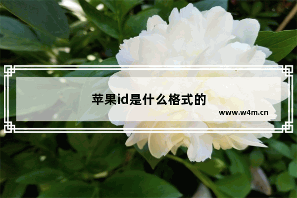 苹果id是什么格式的