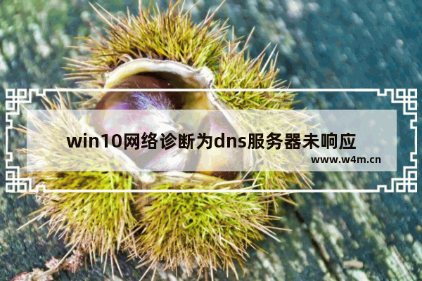 win10网络诊断为dns服务器未响应