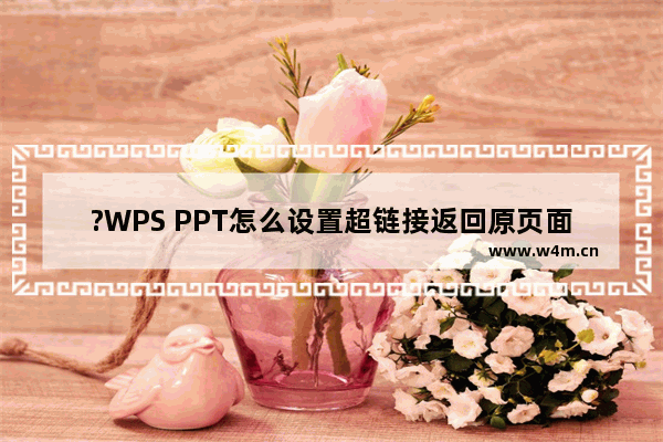 ?WPS PPT怎么设置超链接返回原页面-WPS演示文稿中设置链接返回到原位置的方法教程