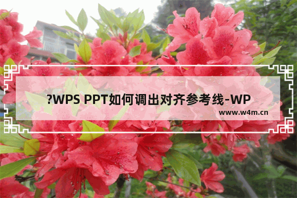 ?WPS PPT如何调出对齐参考线-WPS演示文稿中显示对齐参考线的方法教程