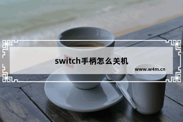 switch手柄怎么关机