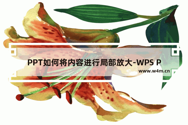 PPT如何将内容进行局部放大-WPS PPT将图片进行局部放大显示的方法