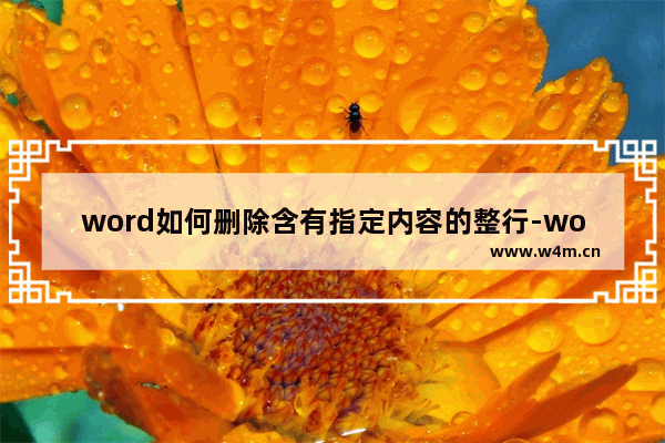 word如何删除含有指定内容的整行-word删除有特定字的某行的方法