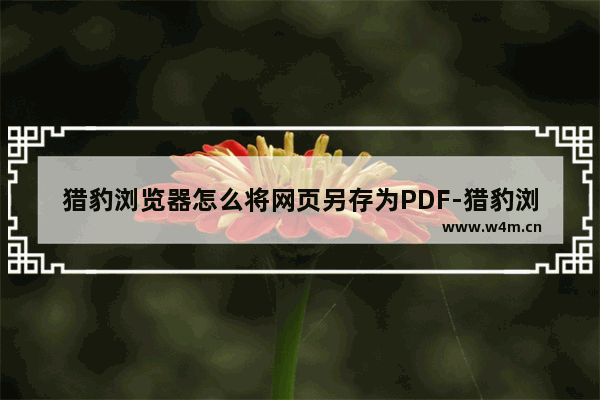 猎豹浏览器怎么将网页另存为PDF-猎豹浏览器将网页另存为PDF的方法