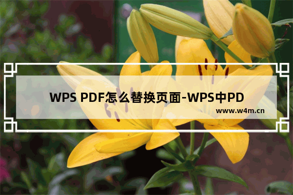 WPS PDF怎么替换页面-WPS中PDF文档替换页面的方法