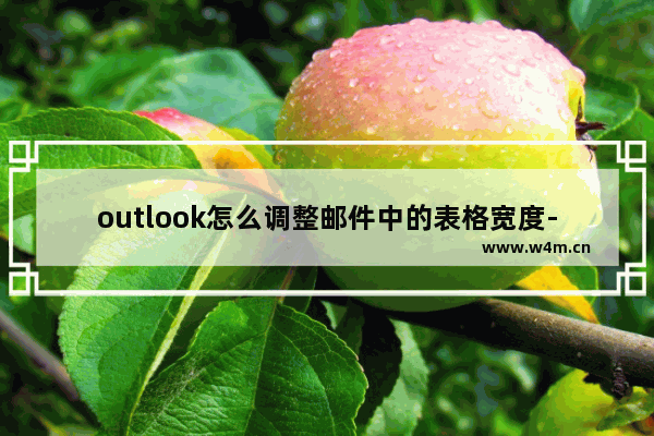 outlook怎么调整邮件中的表格宽度-outlook调整邮件中的表格宽度的方法