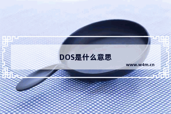 DOS是什么意思