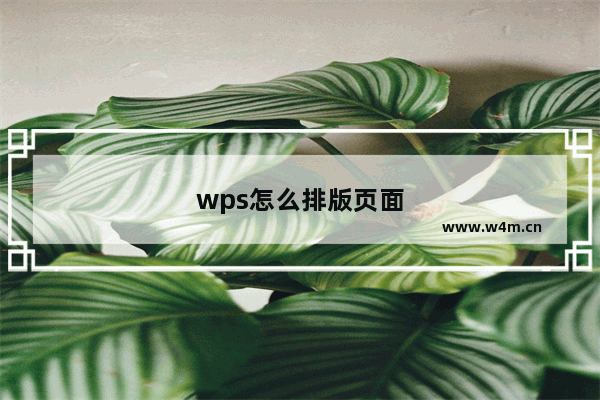 wps怎么排版页面