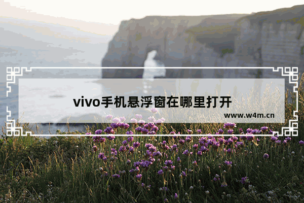 vivo手机悬浮窗在哪里打开