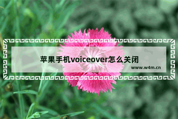 苹果手机voiceover怎么关闭