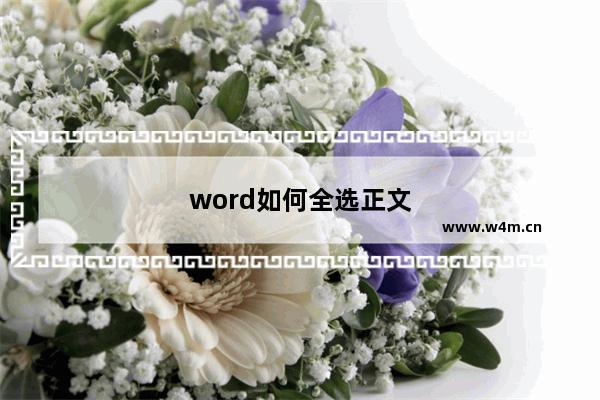 word如何全选正文