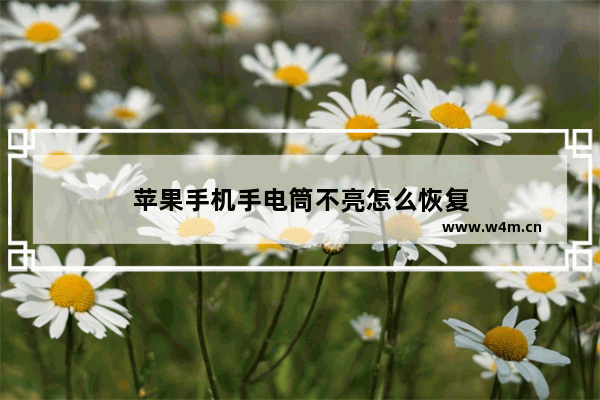 苹果手机手电筒不亮怎么恢复