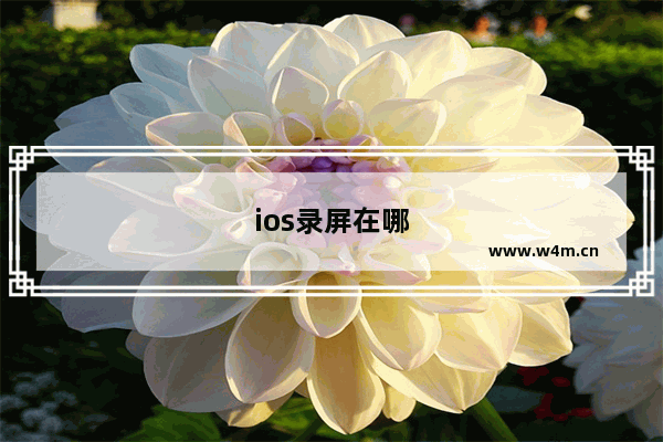 ios录屏在哪