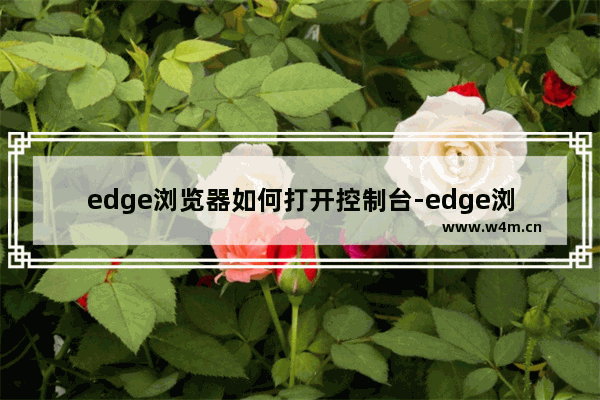 edge浏览器如何打开控制台-edge浏览器进入控制台面板的方法