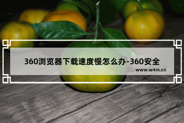 360浏览器下载速度慢怎么办-360安全浏览器下载速度慢的解决方法