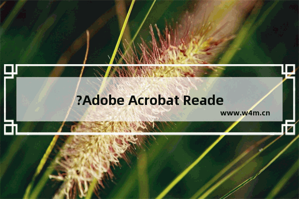 ?Adobe Acrobat Reader DC怎么将PDF转换为Word-Adobe DC将PDF输出为Word文档的方法教程