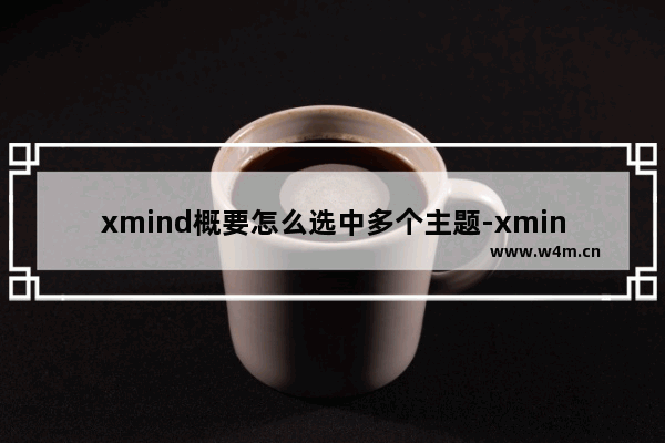 xmind概要怎么选中多个主题-xmind思维导图中的概要包含两个主题的方法