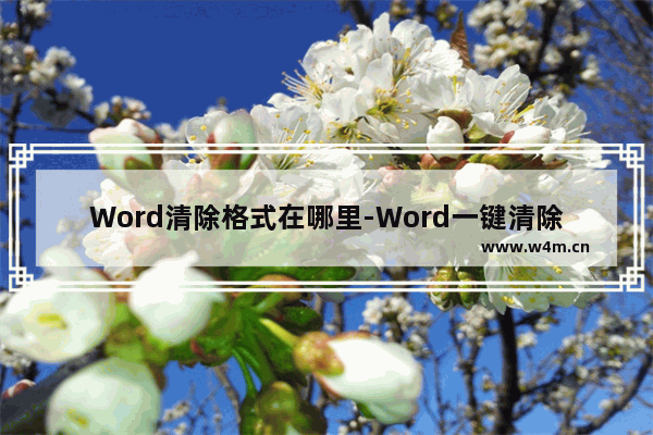 Word清除格式在哪里-Word一键清除格式的方法