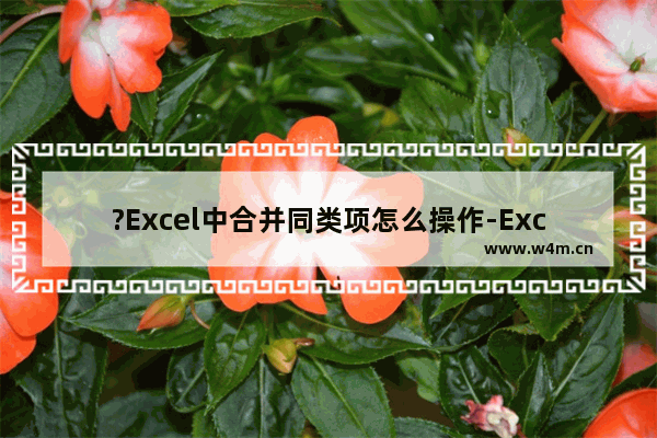 ?Excel中合并同类项怎么操作-Excel表格中合并同类项的方法教程