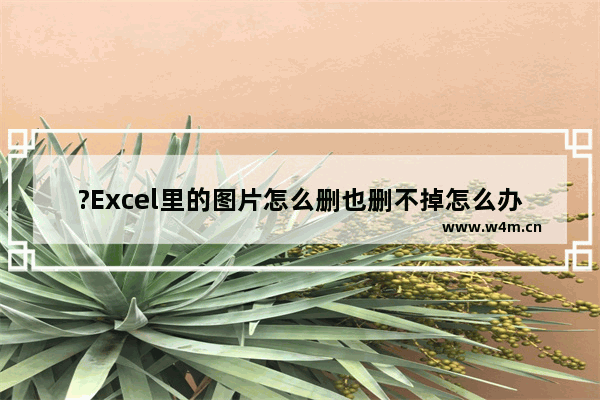 ?Excel里的图片怎么删也删不掉怎么办-Excel表格中删除图片的方法教程