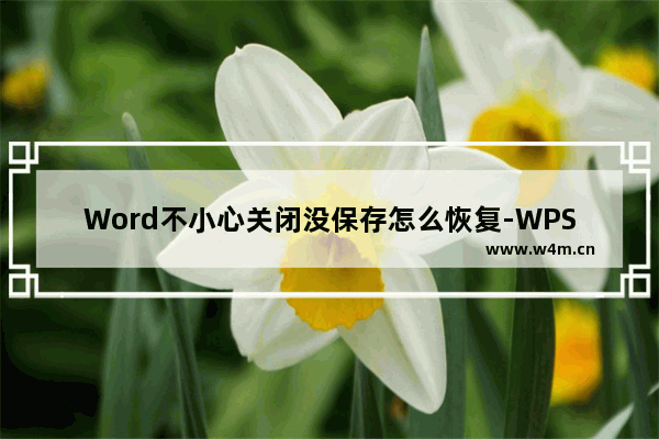 Word不小心关闭没保存怎么恢复-WPS恢复忘记保存的Word文档的方法