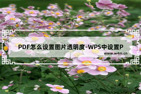 PDF怎么设置图片透明度-WPS中设置PDF文档图片透明度的方法