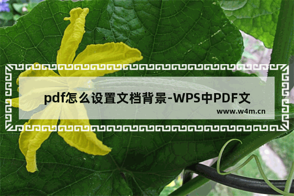 pdf怎么设置文档背景-WPS中PDF文档设置背景颜色的方法