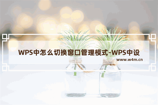 WPS中怎么切换窗口管理模式-WPS中设置切换窗口管理模式的方法