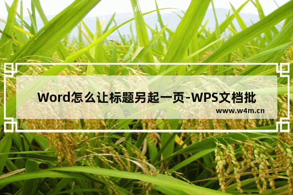 Word怎么让标题另起一页-WPS文档批量让所有章节另起一页的方法