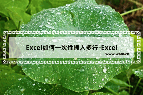 Excel如何一次性插入多行-Excel一次性插入多行的方法