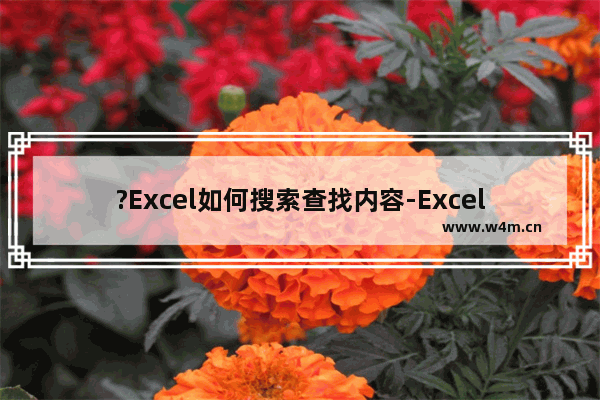 ?Excel如何搜索查找内容-Excel表格中快速搜索查找指定内容的方法教程