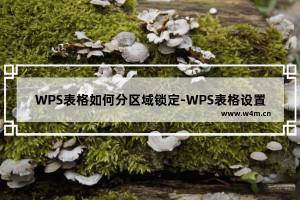 WPS表格如何分区域锁定-WPS表格设置分区域锁定的方法