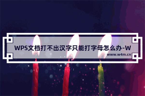 WPS文档打不出汉字只能打字母怎么办-WPS文档打不出汉字只能打字母的解决方法