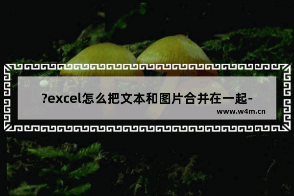 ?excel怎么把文本和图片合并在一起-excel将文本框和图片组合成一个整体的方法