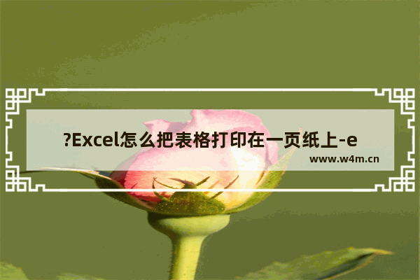 ?Excel怎么把表格打印在一页纸上-excel将表格调整为一页进行打印的方法教程