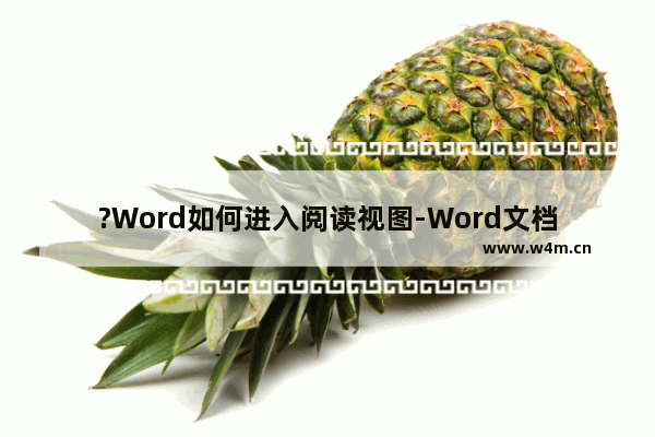 ?Word如何进入阅读视图-Word文档中切换到阅读视图的方法教程