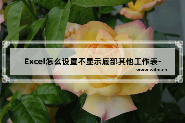 Excel怎么设置不显示底部其他工作表-Excel不显示底部其他工作表的方法