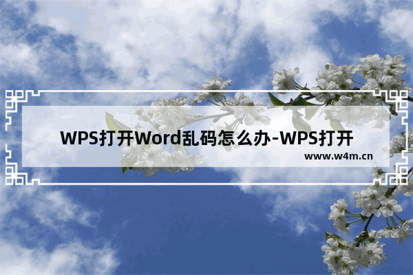 WPS打开Word乱码怎么办-WPS打开Word乱码的解决方法