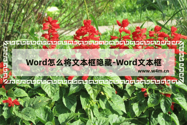 Word怎么将文本框隐藏-Word文本框设置不显示的方法