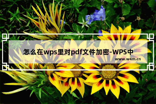 怎么在wps里对pdf文件加密-WPS中对PDF文档加密保护的方法