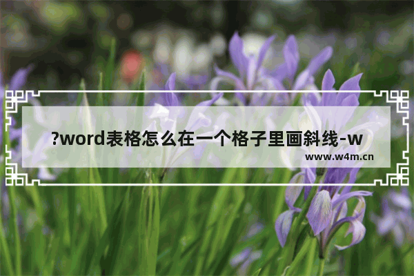 ?word表格怎么在一个格子里画斜线-word为表格的单元格画上斜线的方法