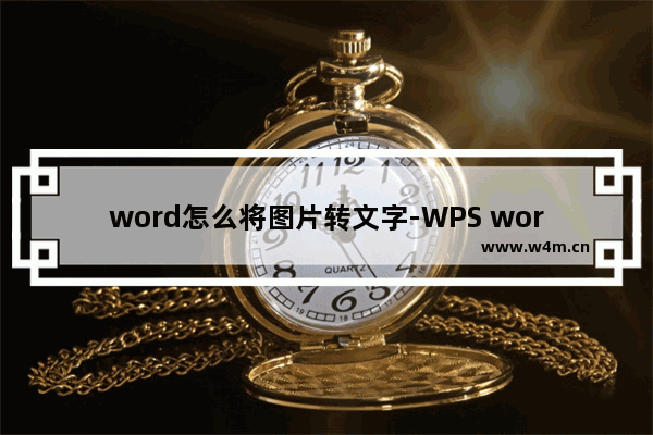 word怎么将图片转文字-WPS word提取图片上的文字的方法