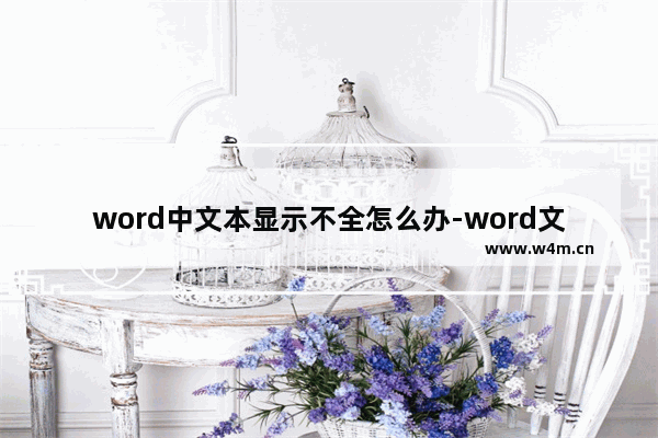 word中文本显示不全怎么办-word文档页面上的文字只显示一半的解决方法