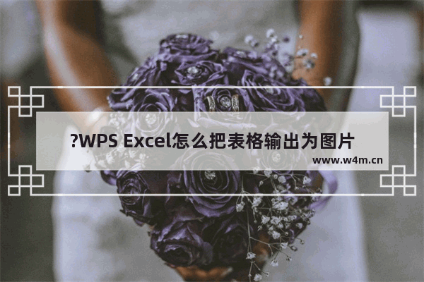 ?WPS Excel怎么把表格输出为图片-WPS表格保存为图片的方法教程