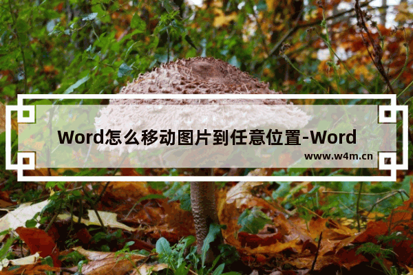 Word怎么移动图片到任意位置-Word移动图片到任意位置的方法